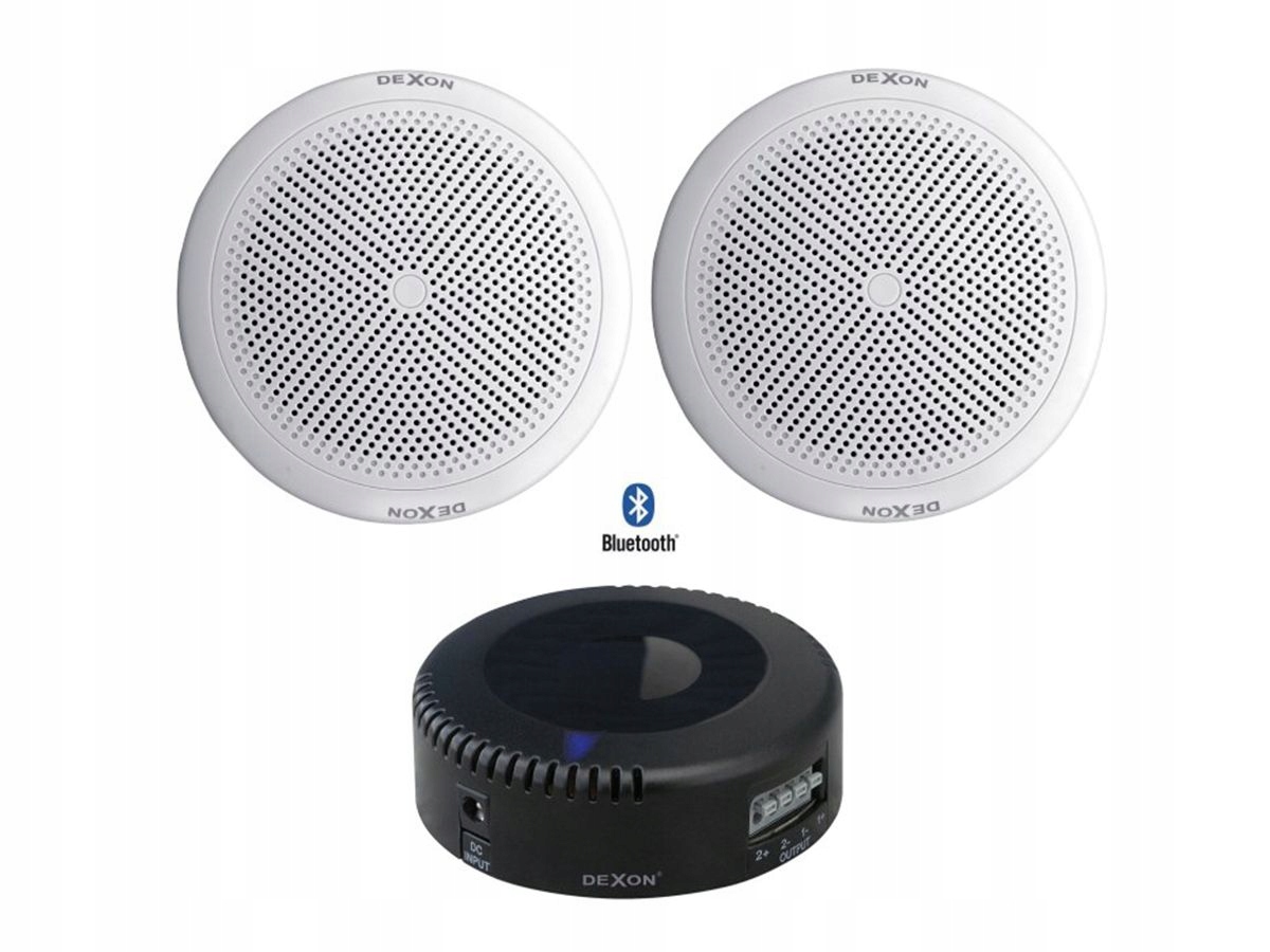 RP-84 reproduktor JPM 2021 Dexon RP-84 JPM 2021 25 W