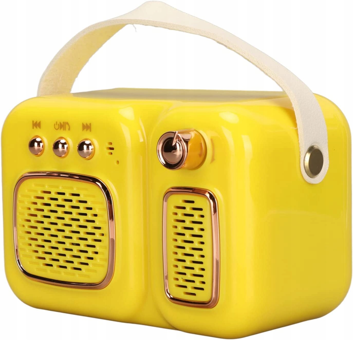 Haomao Turntable Bluetooth reproduktor v retro štýle
