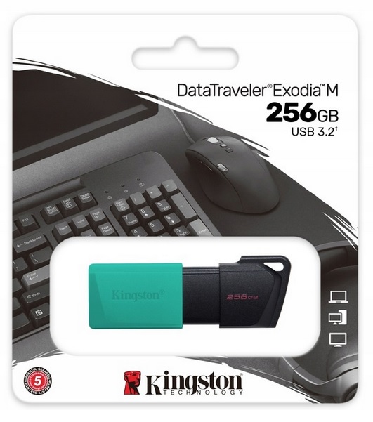 PENDRIVE 256 GB USB 3.2 KINGSTON