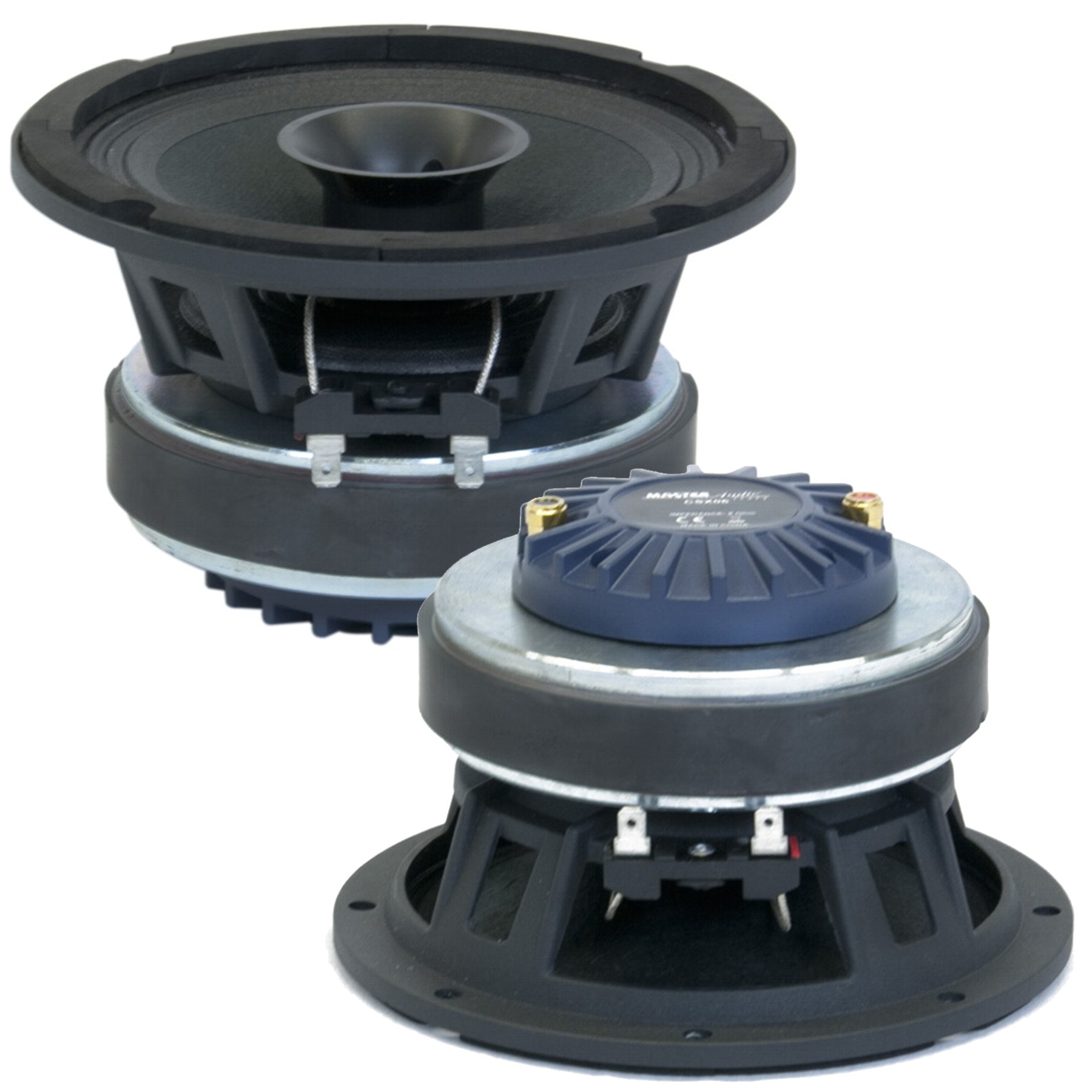 CSX06 Master Audio CSX06 100 W reproduktor
