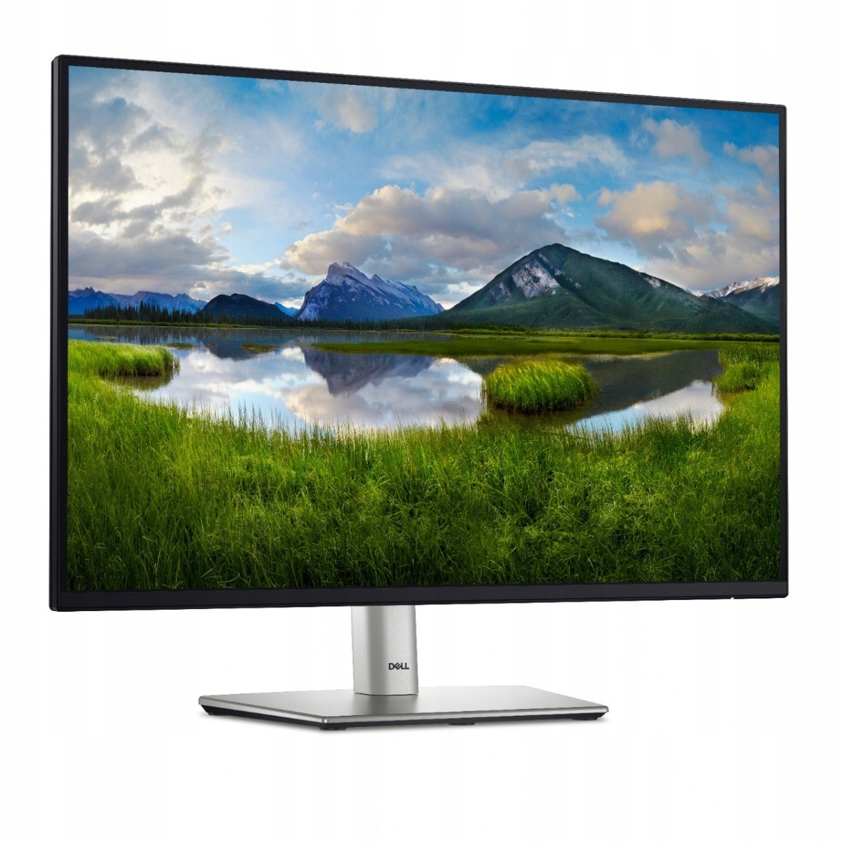 24" LED monitor Dell P2425 s rozlíšením 1920 x 1200 px, IPS/PLS