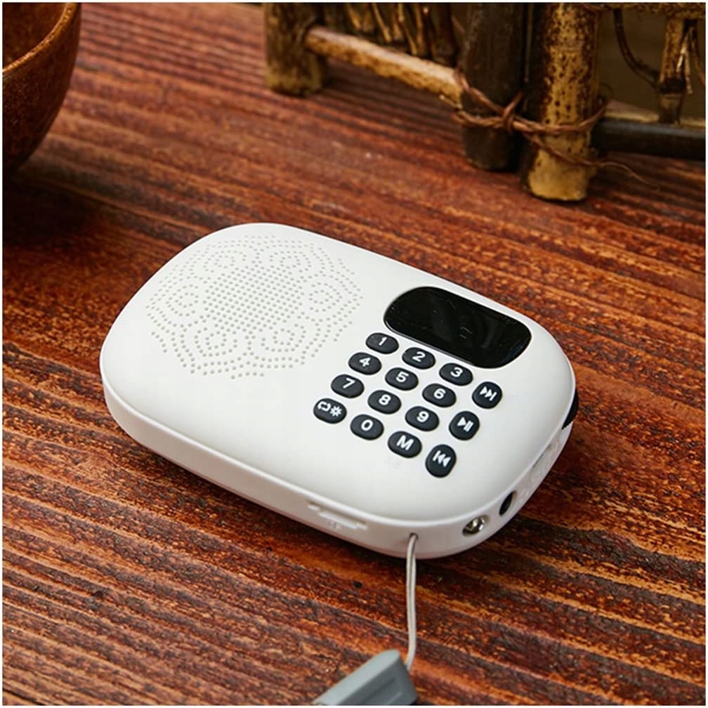 Digitálne rádio, preľudnené rádio DAB Radio Retro
